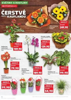 akční leták Kaufland 2.1.2024-7.1.2025