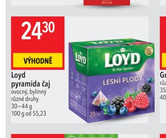 Loyd pyramida čaj