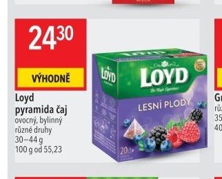 Loyd pyramida čaj