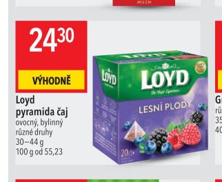 Loyd pyramida čaj