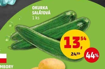 OKURKA SALÁTOVÁ