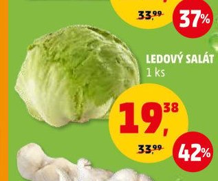 Ledový salát