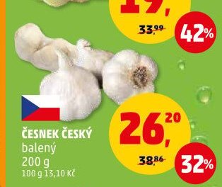 Česnek český