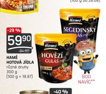 HAMÉ HOTOVÁ JÍDLA
