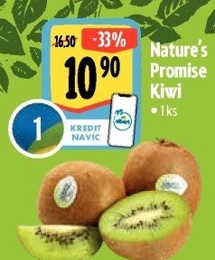 Kiwi bio Nature'