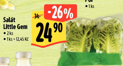 Salát little gem