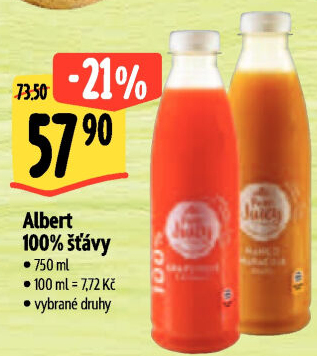Šťáva 100% Albert