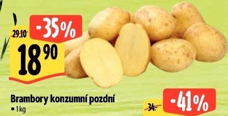 Brambory konzumní pozdní