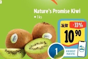 Kiwi bio Nature'