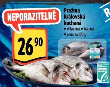 Pražma královská kuchaná Albert