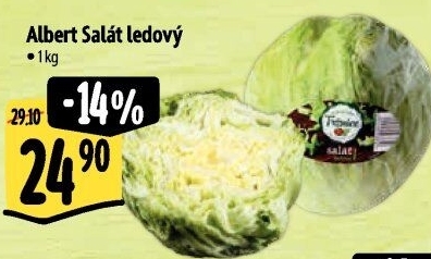 Salát ledový Albert