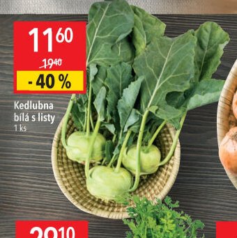 Kedlubna bílá s listy