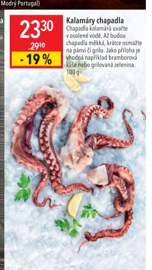 Kalamáry chapadla