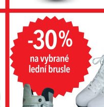 lední brusle