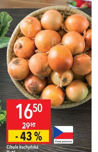 Cibule kuchyňská žlutá