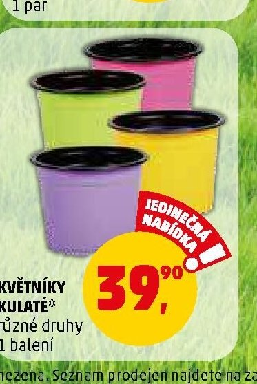 KVĚTNÍKY KULATÉ