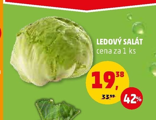 Ledový salát