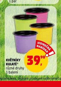 KVĚTNÍKY KULATÉ