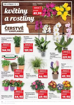 akční leták Kaufland 17.1.2024-23.1.2024