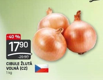CIBULE ŽLUTÁ VOLNÁ (CZ)