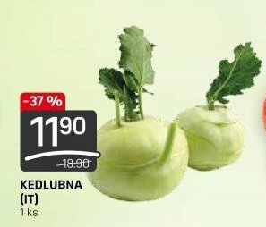 KEDLUBNA (IT)
