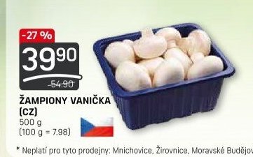 ŽAMPIONY VANIČKA (CZ)
