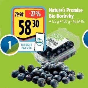 Borůvky bio Nature'