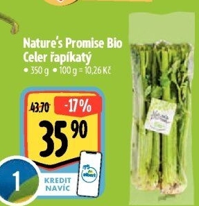 Celer řapíkatý bio Nature'