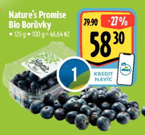 Borůvky bio Nature'