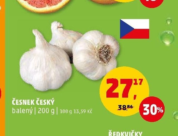 Česnek český