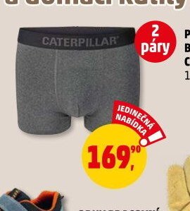 PÁNSKÉ BOXERKY CAT