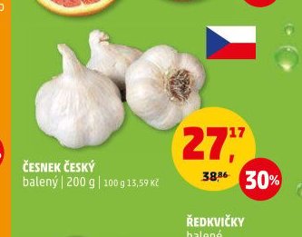 Česnek český