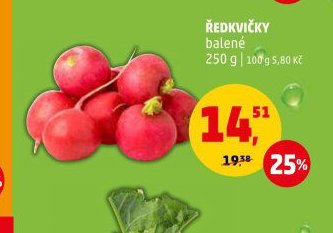 Ředkvičky
