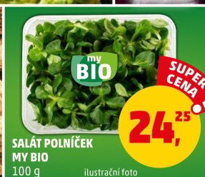 Salát polníček My BIO