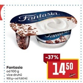 Dezert Fantasia Danone
