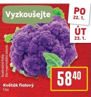 Květák