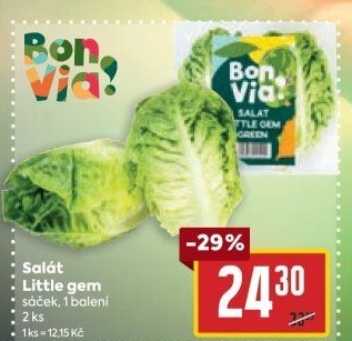 Salát little gem Billa Bonvia