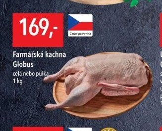 Farmářská kachna Globus