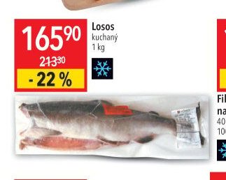 Losos kuchaný
