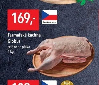 Farmářská kachna Globus