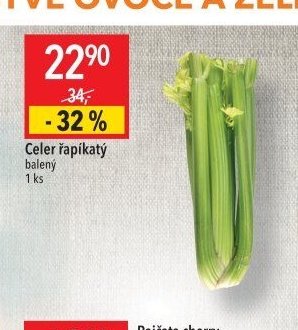 Celer řapíkatý