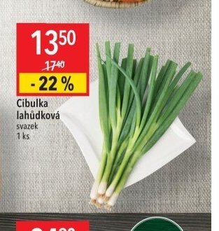 Cibulka lahůdková