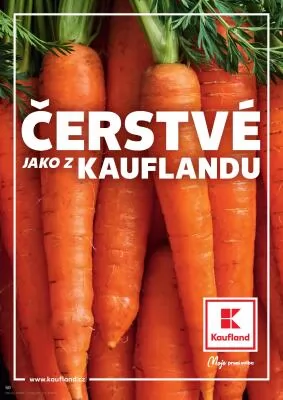 akční leták Kaufland 24.1.2024-30.1.2024