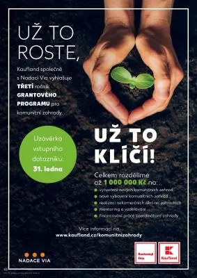 akční leták Kaufland 24.1.2024-30.1.2024