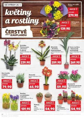 akční leták Kaufland 24.1.2024-30.1.2024