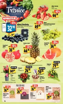akční leták Albert 24.1.2024-30.1.2024