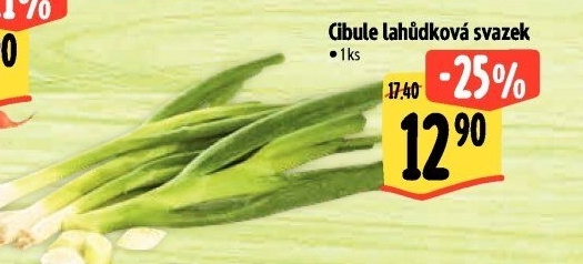 Jarní cibule svazek