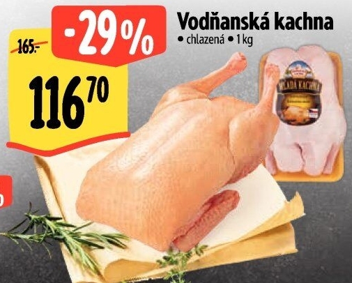 Kachna Vodňanská kachna