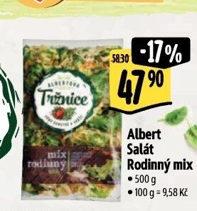 Salát rodinný mix Albert