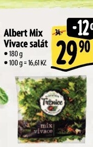 Salát Vivace mix Albert